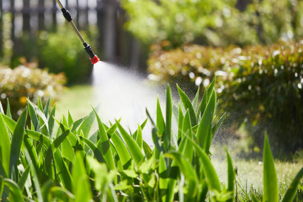 24/7 Emergency Ant Control experts in Sesser, IL